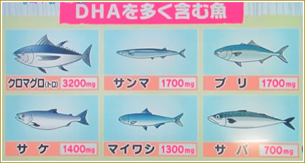 DHAを多く含む魚です