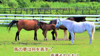 馬の夢のあらわす夢の意味です。
