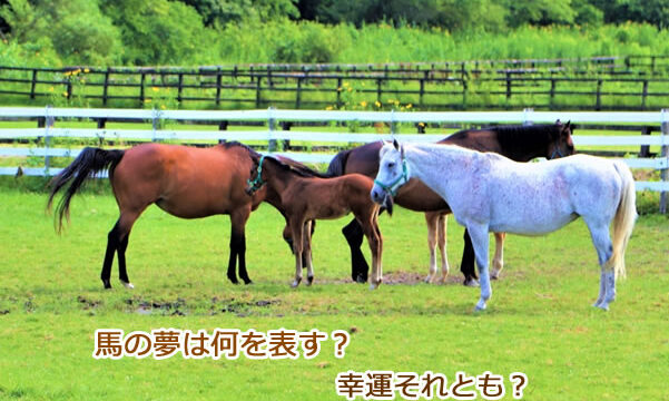 馬の夢のあらわす夢の意味です。